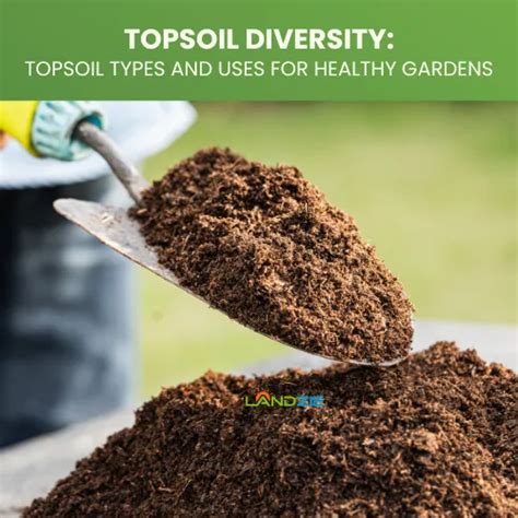 Topsoil Diversity: Topsoil Types and Uses for Healthy Gardens - Landzie