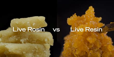 Live Rosin vs Live Resin: Similarities and Differences