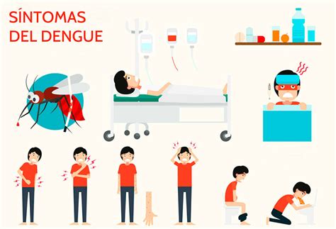 Síntomas del dengue - Salud al día