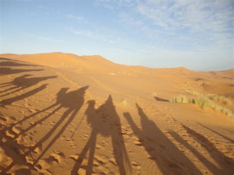 Free Images : landscape, sand, field, prairie, dune, valley, shadow, plain, dromedary, grassland ...