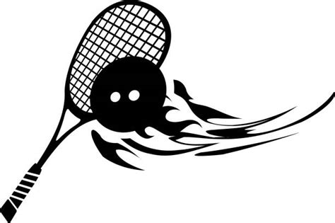 Squash Game stock vectors - iStock