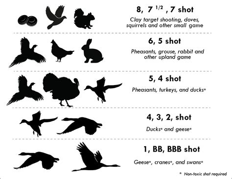 410 Shotgun Shot Size Chart - Best Picture Of Chart Anyimage.Org