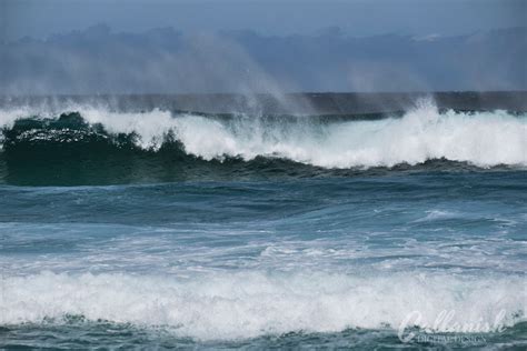 Dalmore Atlantic wave – Callanish Digital Design