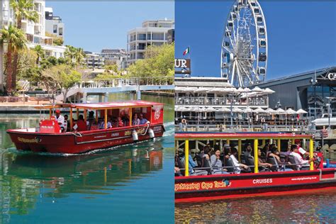 Boat Cruises & Adventures in Cape Town | City Sightseeing