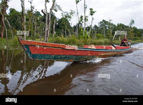 Lake Chini, Malaysia Stock Photo - Alamy