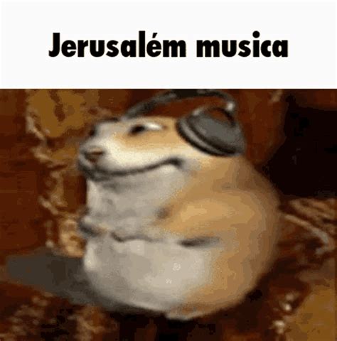 Musica Jerusalem Big Chungus Funny GIF - Musica Jerusalem Big Chungus ...