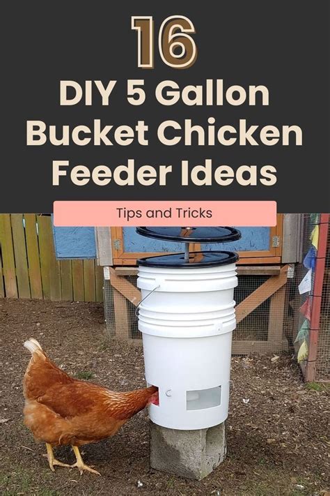 16 DIY 5 Gallon Bucket Chicken Feeder Ideas | Chicken feeders, Chicken feeder diy, Chicken feeder