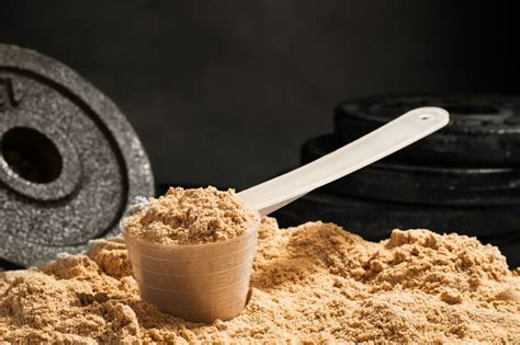 How to Choose When It Comes To Buying Protein Powder? - BuildeRoid