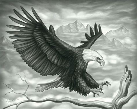 Pics For > Beautiful Sketches Of Eagles | Montar tatuagem, Tatuagem de praia, Tatuagem aguia