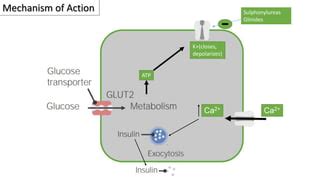 Insulin secretagogues | PPT