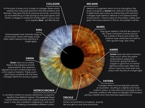 Different Types Of Eye Patterns - Design Talk