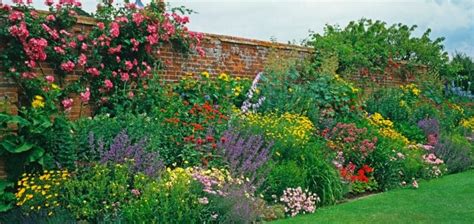 Garden Border Planting Ideas For UK Gardens | UpGardener™