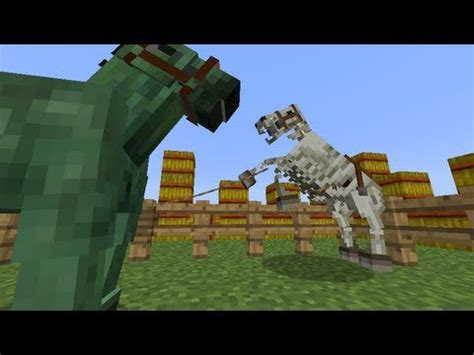 MineCraft 1.6 SnapShot: Zombie Horse Armor, Skeleton Horse 13w21a ...