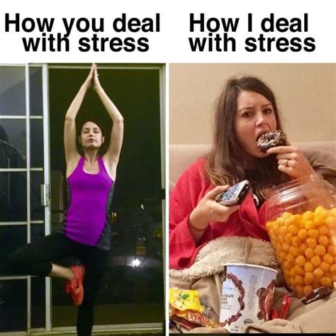 How I deal with stress meme Stressed Meme, Stress Food, Dealing With Stress, Silly Jokes, Daily ...