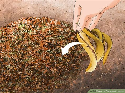 How to Compost Leaves: 14 Steps (with Pictures) - wikiHow