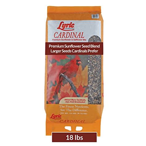 Best Cardinal Bird Seed Mix, According To Bird Watchers