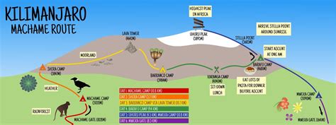 Mt. Kilimanjaro, The Machame Route by Chiu-Ki Chan - They Draw & Travel