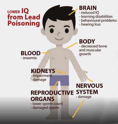 Health Effects Of Lead Poisoning On Children – Consumers Association Penang