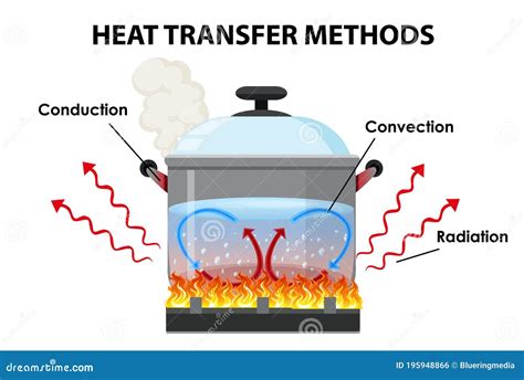 Heat Transfer Physics Poster, Vector Illustration Diagram With Heat Balancing Stages ...