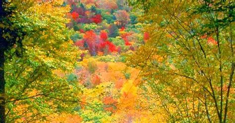 Covered Bridge and Fall Foliage, Franconia Notch State Park, New Hampshire - Favorite Photoz