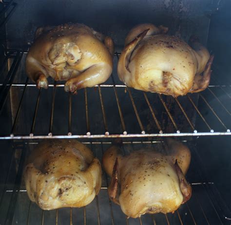 Smoked Cornish Game Hens With Brine Recipe Smoking - That Guy Who Grills