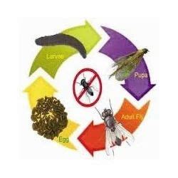 Diflubenzuron - Difluron Latest Price, Manufacturers & Suppliers