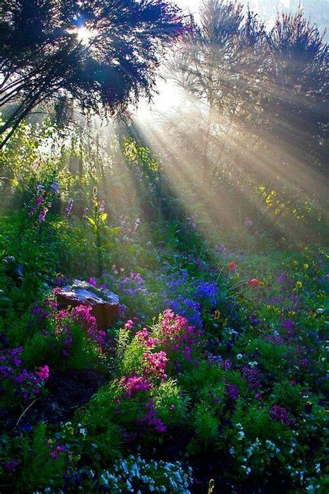 Breathtaking Sun Rays Photography - XciteFun.net