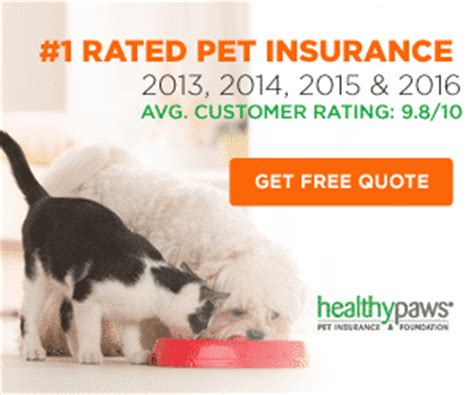 Pet Insurance Reviews | Review Top Pet Insurance Plans