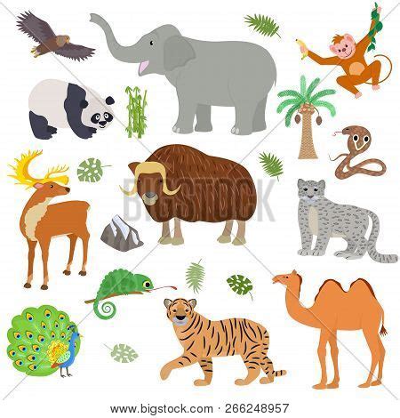 Asian Animal Vector Vector & Photo (Free Trial) | Bigstock