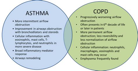 Spirometry Can Be Done in Family Physicians Offices and Alters Clinical ...