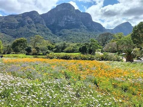 Kirstenbosch Concerts 2025 - Cape Town | Schedule & Tickets