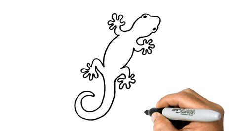 How to Draw a GECKO Easy Step by Step Drawing Animals - YouTube