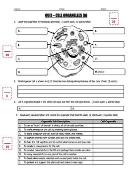 Quiz - Cells and Cell Organelles (2 Quiz Set) by Science With Mr Enns