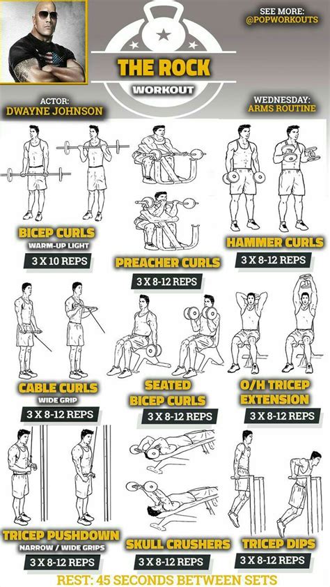 Pin by Ruben Bailey on Inspiring Exercise Ideas | Biceps workout, Arm ...