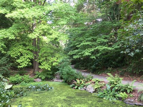 Woodland Garden | University of Washington Botanic Gardens