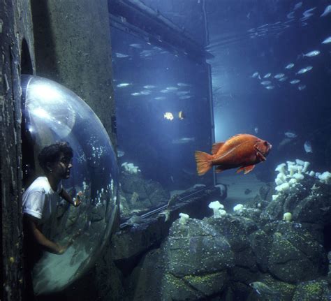 Interview with the Monterey Bay Aquarium | LoveToKnow