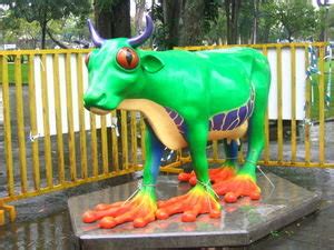 cow frog | Photo