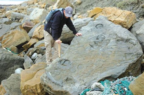 Jurassic Coast fossil collecting and the Eype Starfish Bed | Jurassic coast, Dorset coast, Fossils