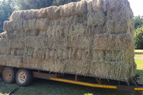 Fresh grass bales Square balers Haymaking and silage for sale in Limpopo | R 35 on Agrimag