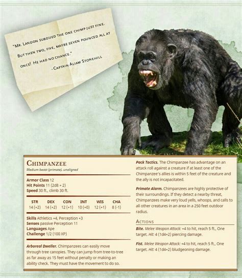 Dnd Stats, Wild Shape, Rpg World, Pugilist, Dnd 5e Homebrew, Dnd Monsters, Fantasy Races ...