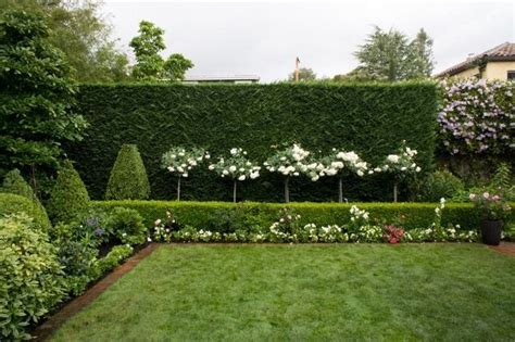 63 of The Best Landscape Hedge Ideas | Tuin, Haag