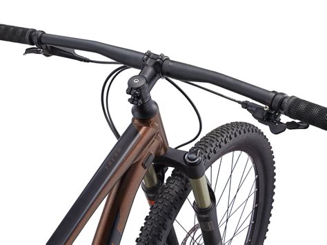 GIANT TALON 1 2022 – Life Cycle Bicycle Shop