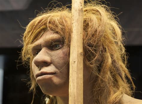 Neanderthals and modern humans parted ways 800,000 years ago - Earth.com