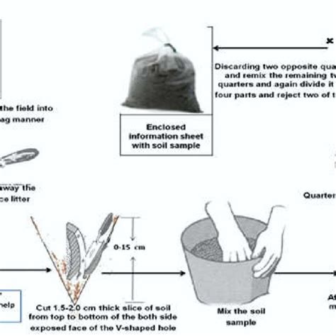 Schematic of how and where to get the soil health cards. | Download ...