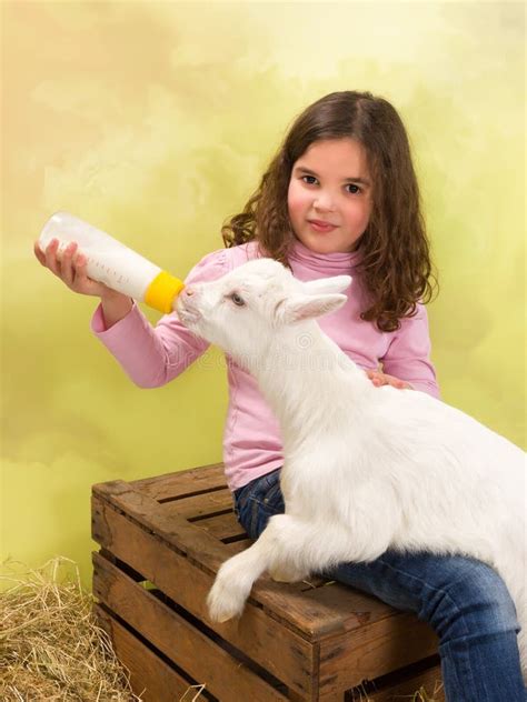 Happy Girl Feeding Baby Goat Stock Image - Image of food, girl: 38598231