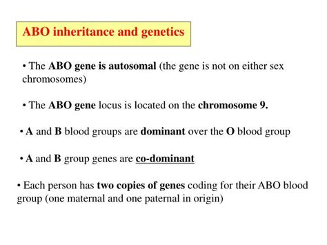 PPT - Genetics of ABO Blood groups and Rhesus factor PowerPoint Presentation - ID:2402055