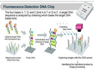 Protein and nucleic acid sequencing | PPT