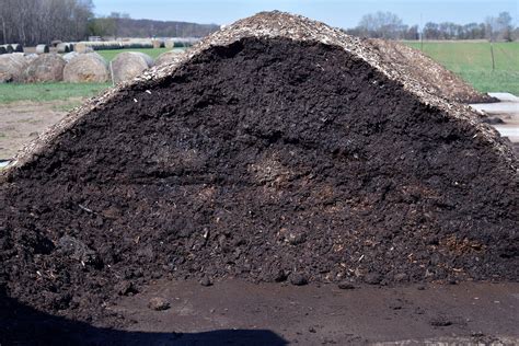 Constructing and managing a horse carcass compost pile | UMN Extension