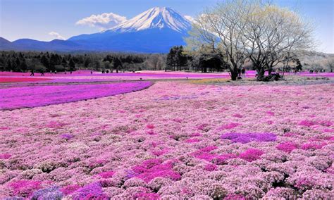 Top 10 Fun Things to See and Do in Hokkaido - Places To See In Your Lifetime