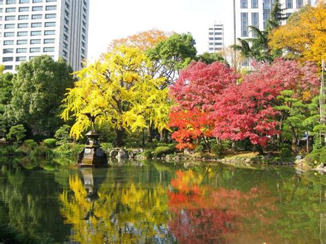 hibiya_park_fall_colors_tokyo | Kyuhoshi